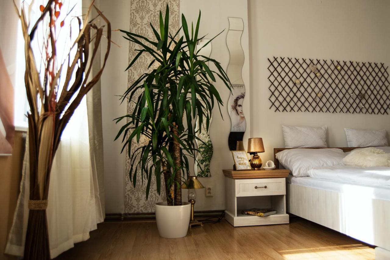 Beauty-Spa Apartment Decin Exterior photo