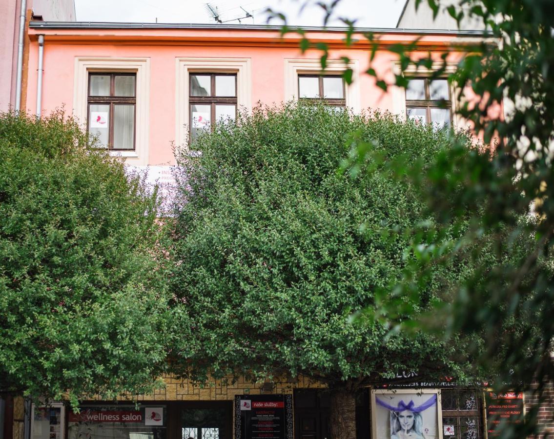Beauty-Spa Apartment Decin Exterior photo