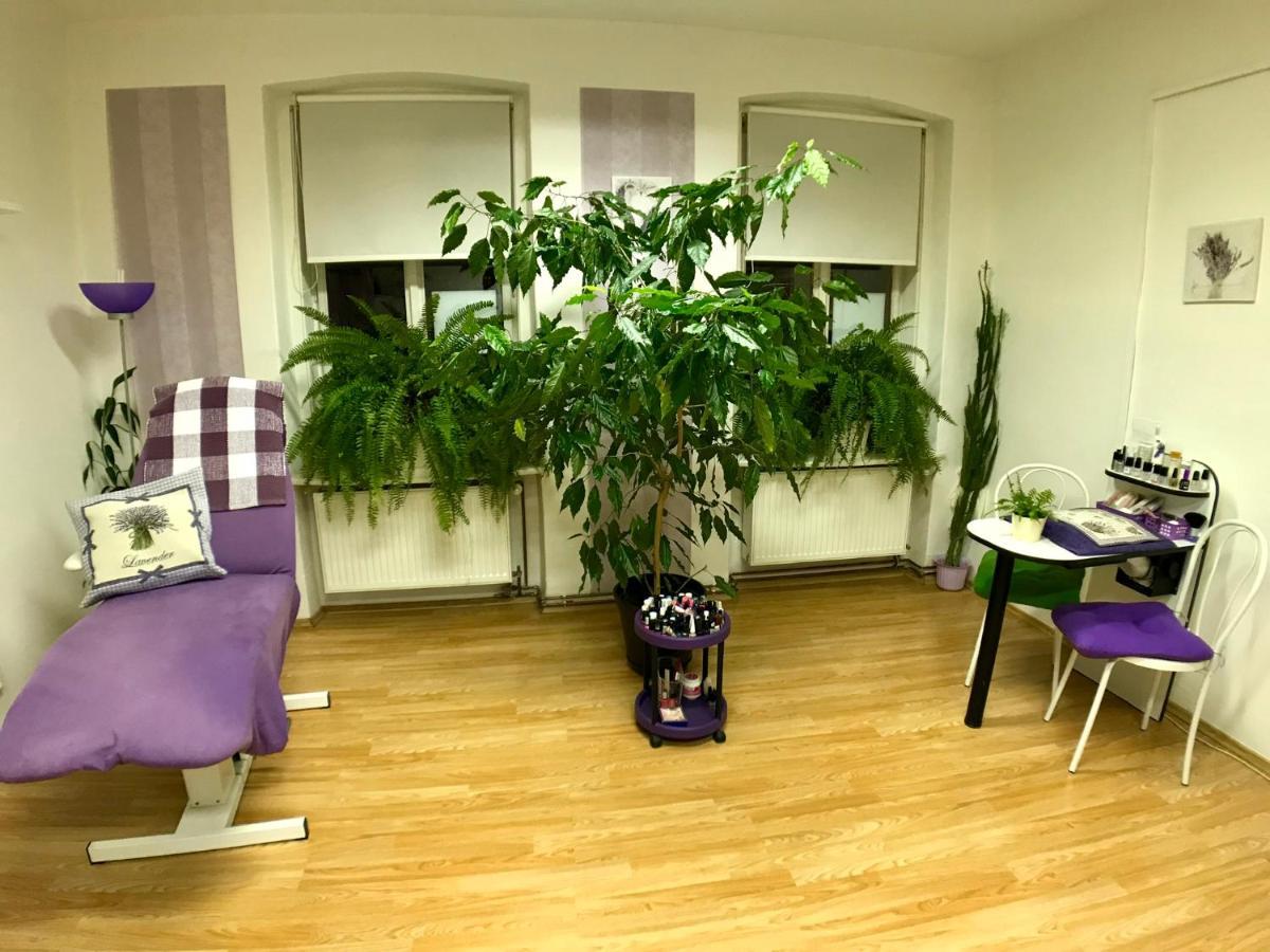 Beauty-Spa Apartment Decin Exterior photo