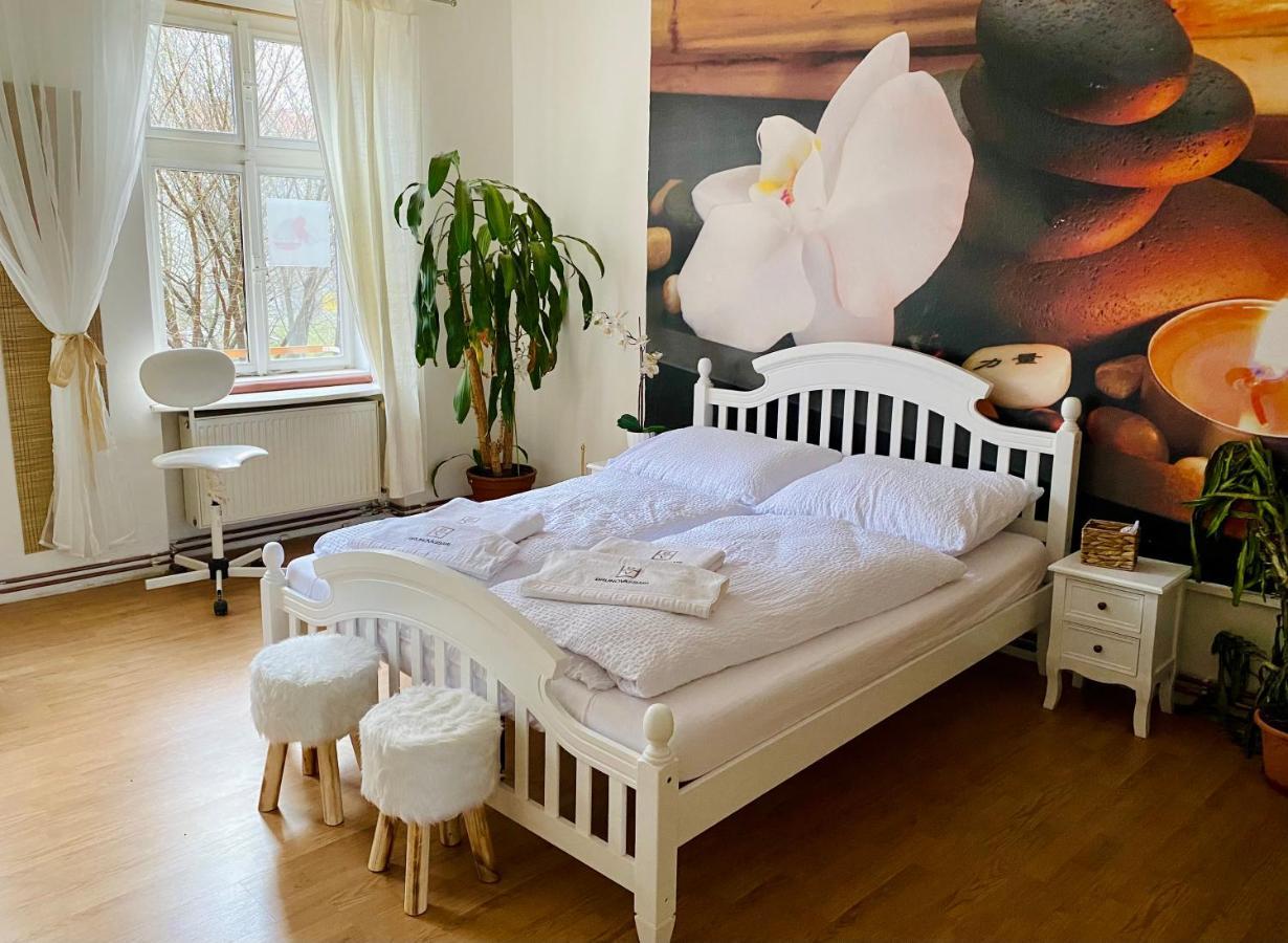 Beauty-Spa Apartment Decin Exterior photo